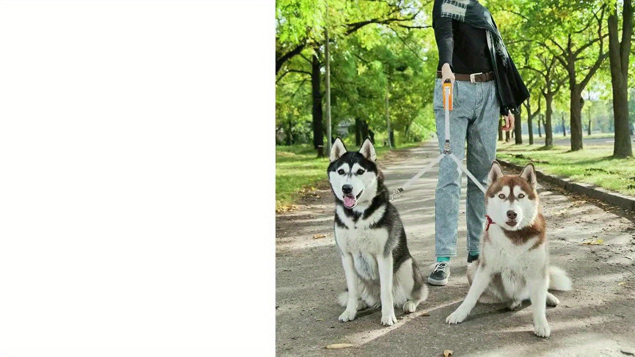 Dual Head Self Retracting Dog Leash for Two Dogs Weighing Up to 110 Lbs, Heavy Duty 16ft. Dual Head Flexible Retractable 360° Tangle Resistant One-Touch Locking Brake Dog Leash for Small Medium Large Dogs