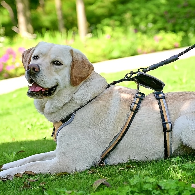 Adjustable No-Pull Dog Harness with Handle - Escape Proof, Soft Padded, Reflective Full Body Vest for Medium and Large Dogs, Ideal for Walking, Hiking, and Training, Beige, Escape-proof, Safety Vest