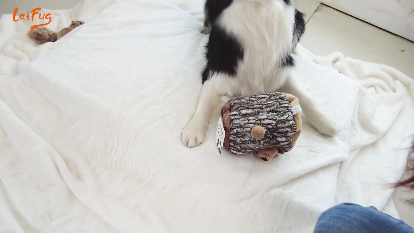 Laifug Hide and Seek Squirrel Plush Dog Toy Interactive Fun for All Breeds