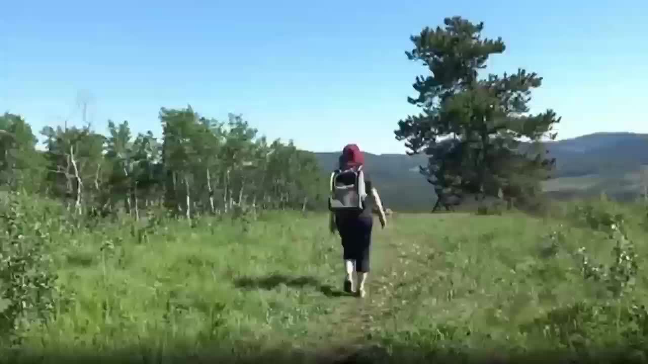 Breathable Cat Backpack Travel Bag With Zipper Closure