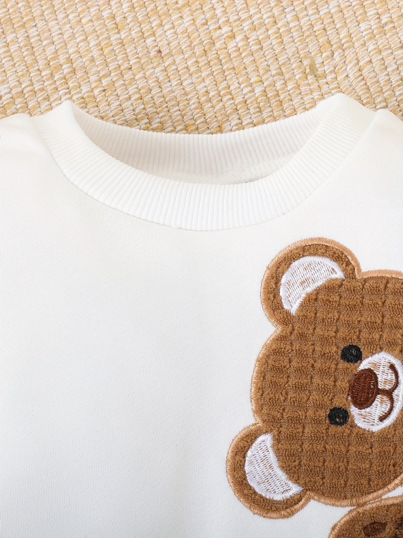 Baby Boys Cute Bear Embroidery Sweatshirt And Sweatpants 2pcs Fall Winter Outfit