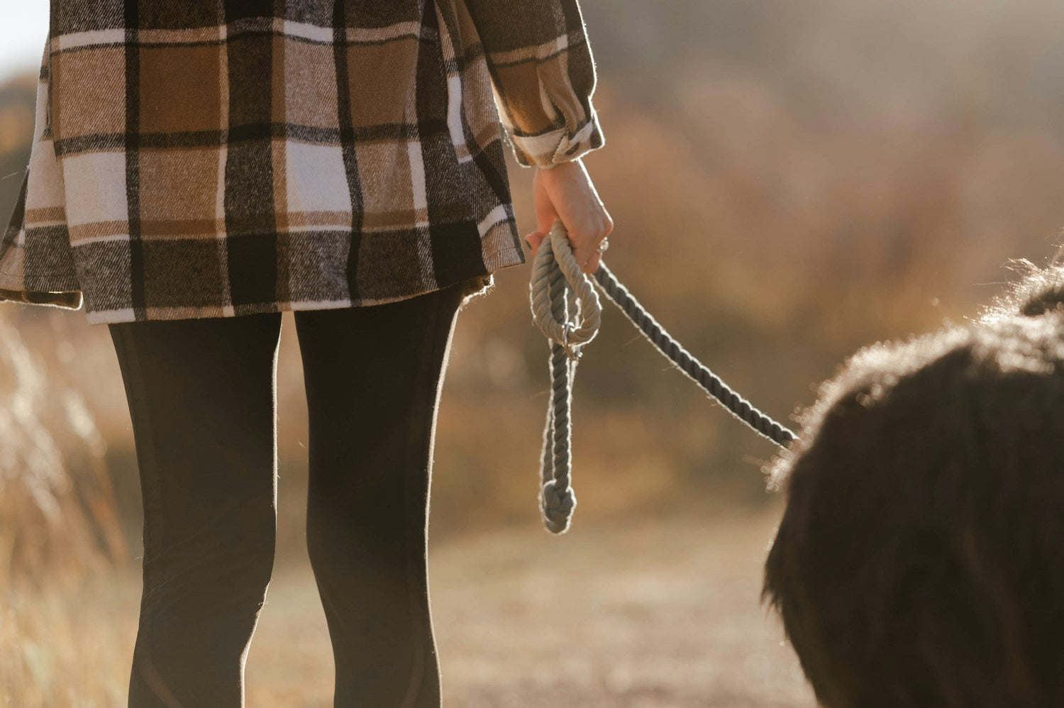 Pet Harnesses, Leashes & Leads