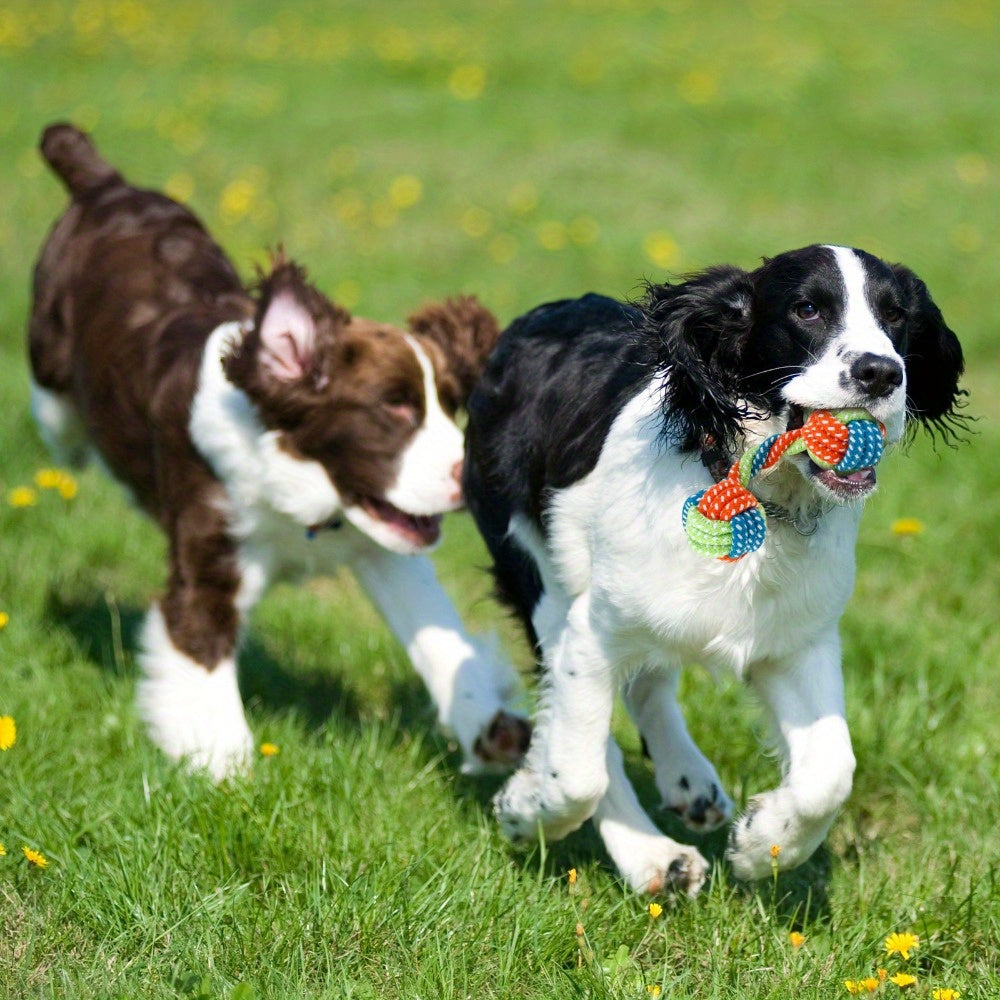 9pcs Dog Leash Toy Set for Small and Medium Dogs Durable Washable Interactive Toys