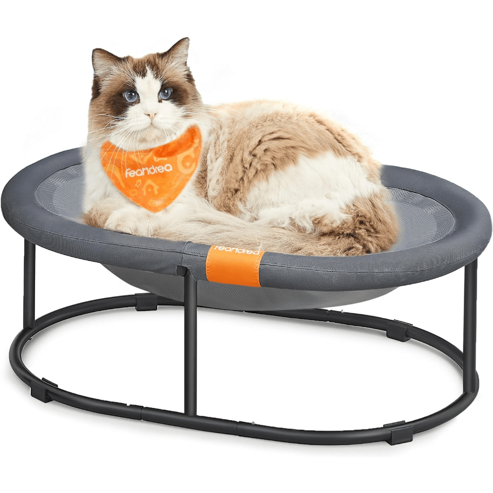Elevated Pet Bed for Large Cats and Small Dogs with Removable Washable Mesh Oval Design