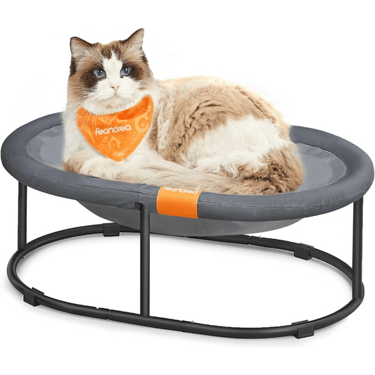 Elevated Pet Bed for Large Cats and Small Dogs with Removable Washable Mesh Oval Design