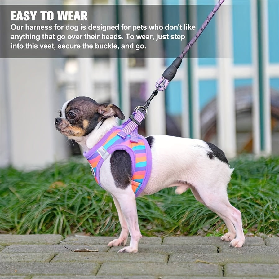 Reflective Striped Dog Harness and Leash Set for Small Breeds Adjustable and Escape Proof