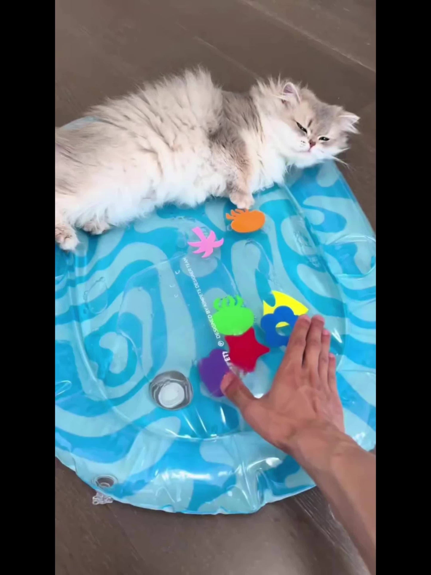 Inflatable Cooling Water Mat for Dogs and Cats with Bite-Resistant PVC and Toy