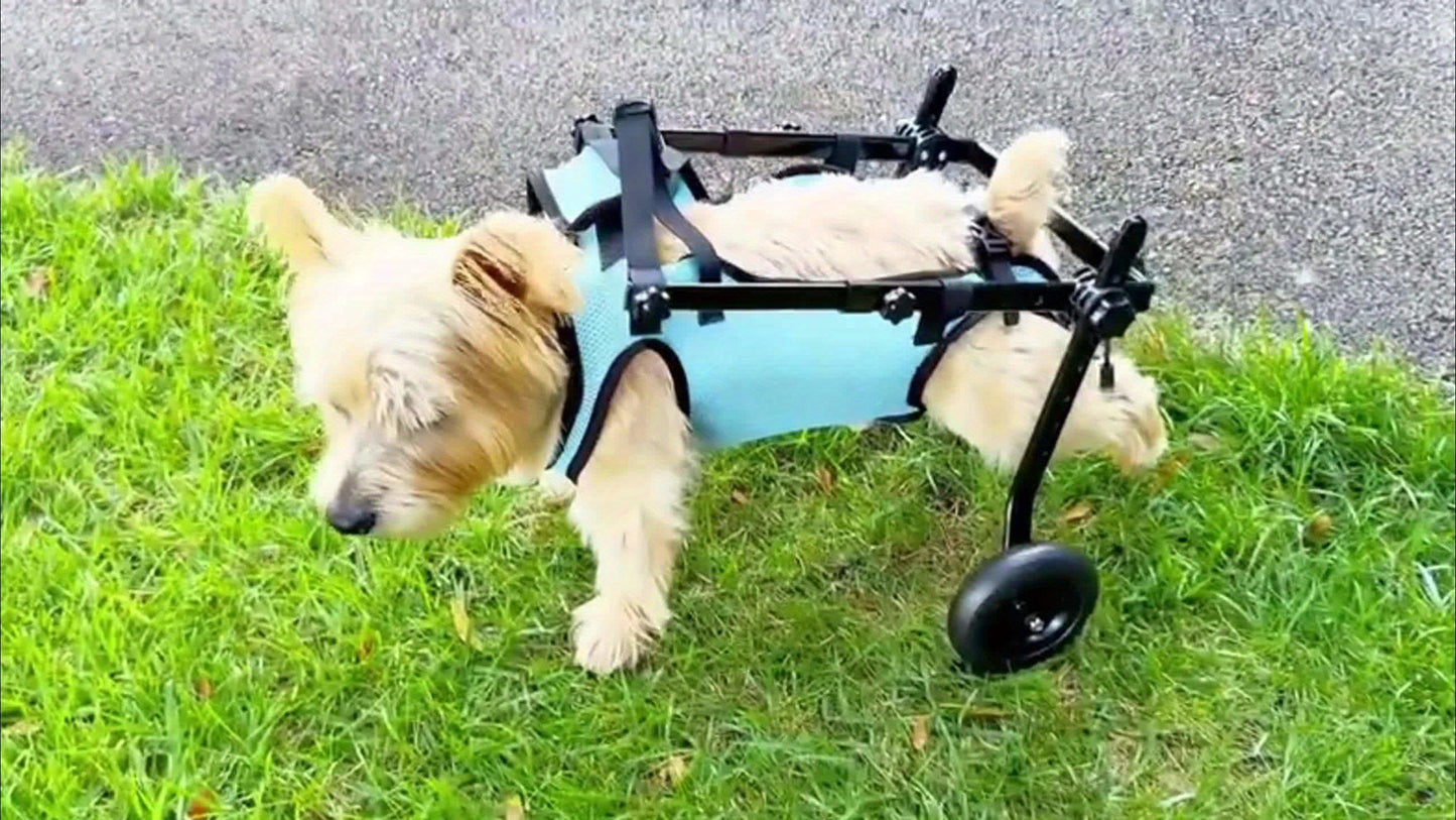 Hind Legs Dog Wheelchair Cart, Dog/Cat Wheelchair With Disabled Hind Legs For Walking, Hind Legs Mobility Aid For Small Pets, Dog Stroller With Wheels, Lightweight, Pet Supplies And Accessories For Christmas, Black Fridays It