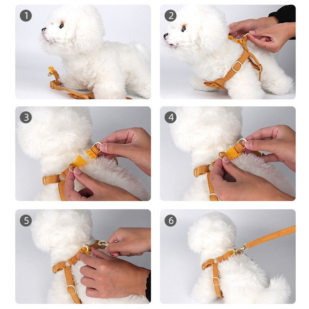 Adjustable Dog Harness Vest and Leash Set for Small to Medium Dogs and Kittens