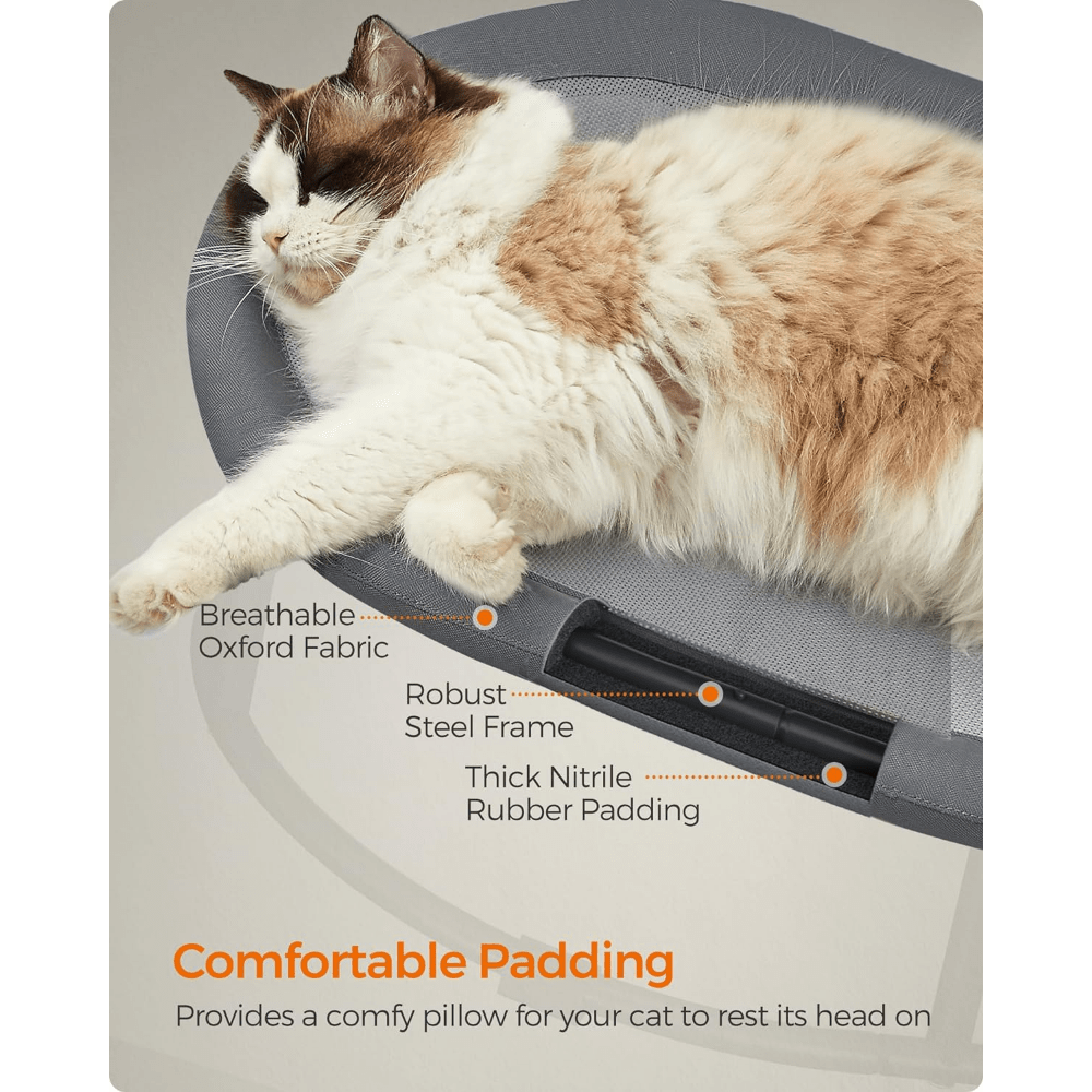 Elevated Pet Bed for Large Cats and Small Dogs with Removable Washable Mesh Oval Design