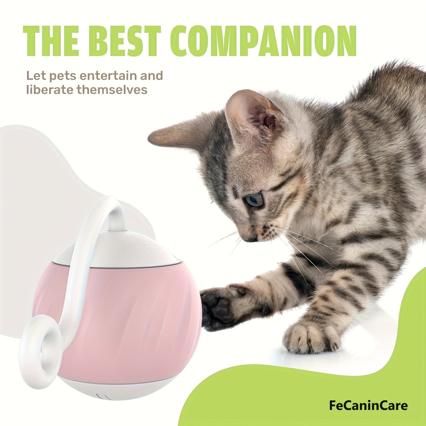 Interactive Motion Activated Electric Cat Toy Ball with RGB Lighting and Dual Speeds