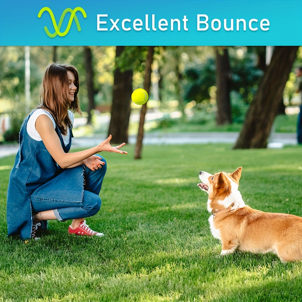 Squeaky Tennis Balls For Dogs 2.5 Inch 12 Pack Interactive Fetch Toy For Medium And Large Dogs