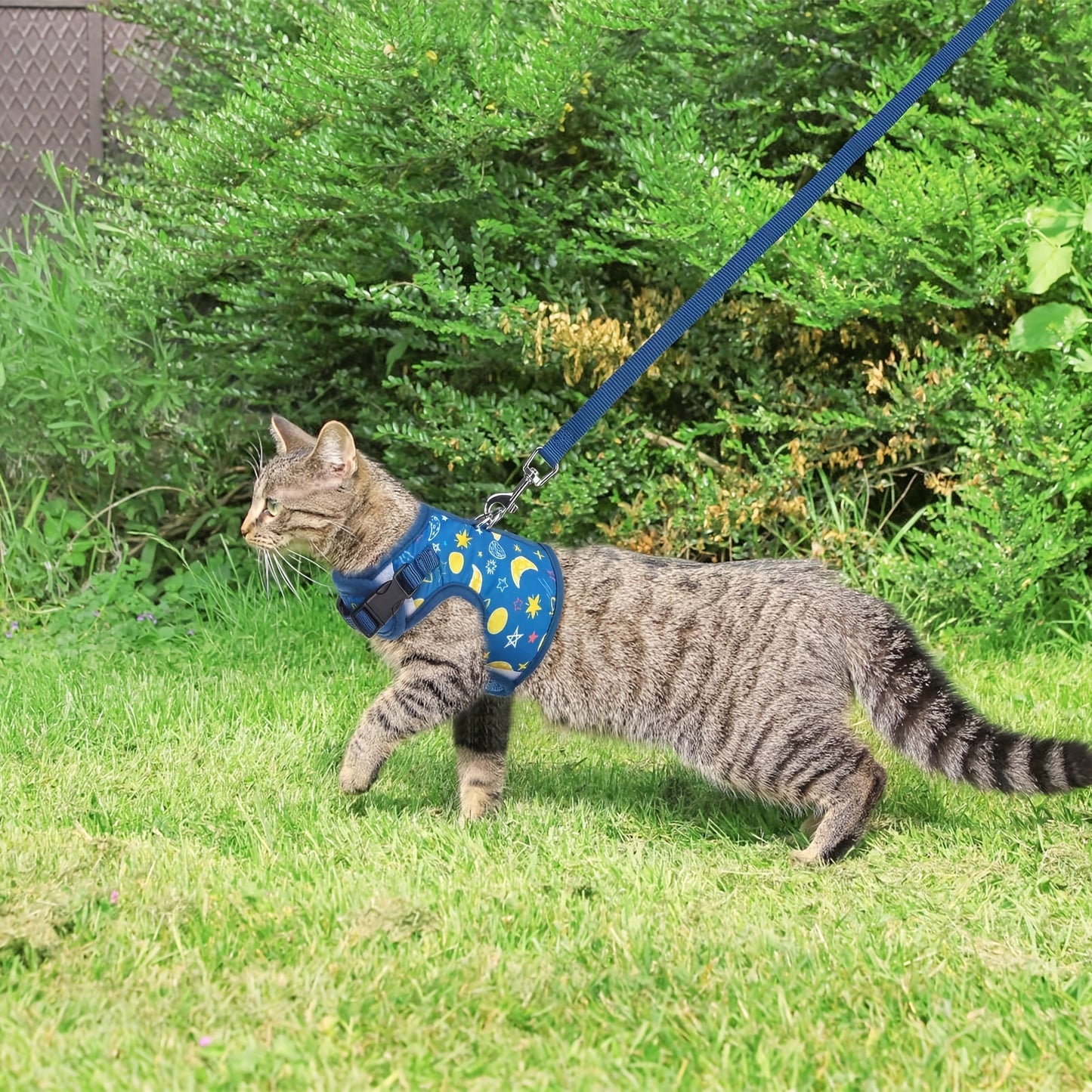 Cat Harness With Leash Escape Proof - Fashionable Mesh Cat Dog Walking Harness Leads, Adjustable For Kitties Puppies Small Animals, for Galaxy