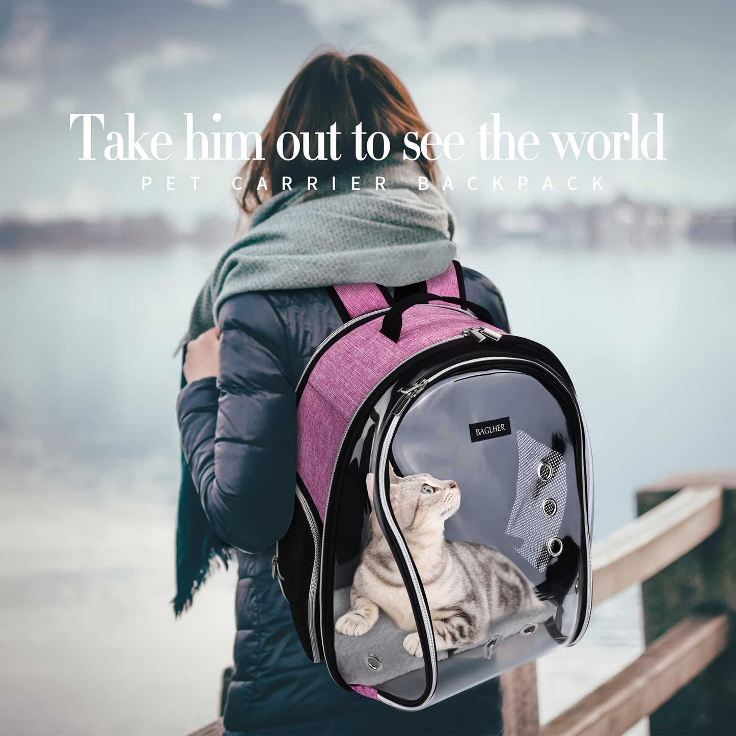 Airline Approved Pet Backpack Carrier Bubble Front Mesh