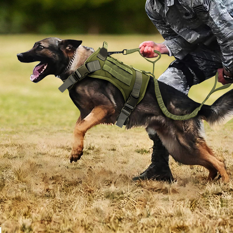 Service Dog Vest Harness Reflective Leash Set with Squeaky Toy for All Dog Sizes