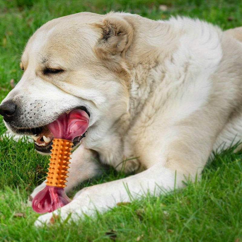 Beef Flavor Indestructible Dog Bone Toy Set for Large Medium Breeds Durable Nylon Chew Toy