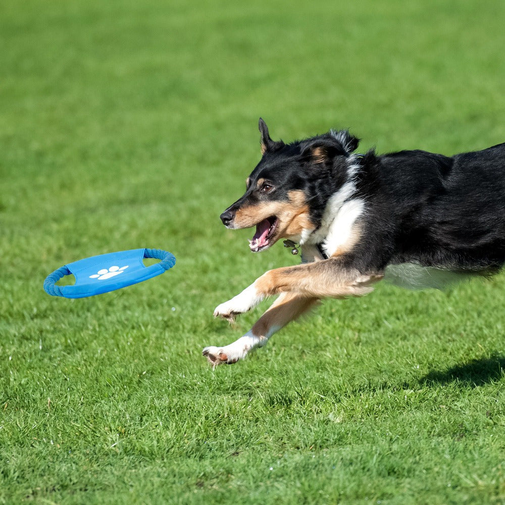 9pcs Dog Leash Toy Set for Small and Medium Dogs Durable Washable Interactive Toys