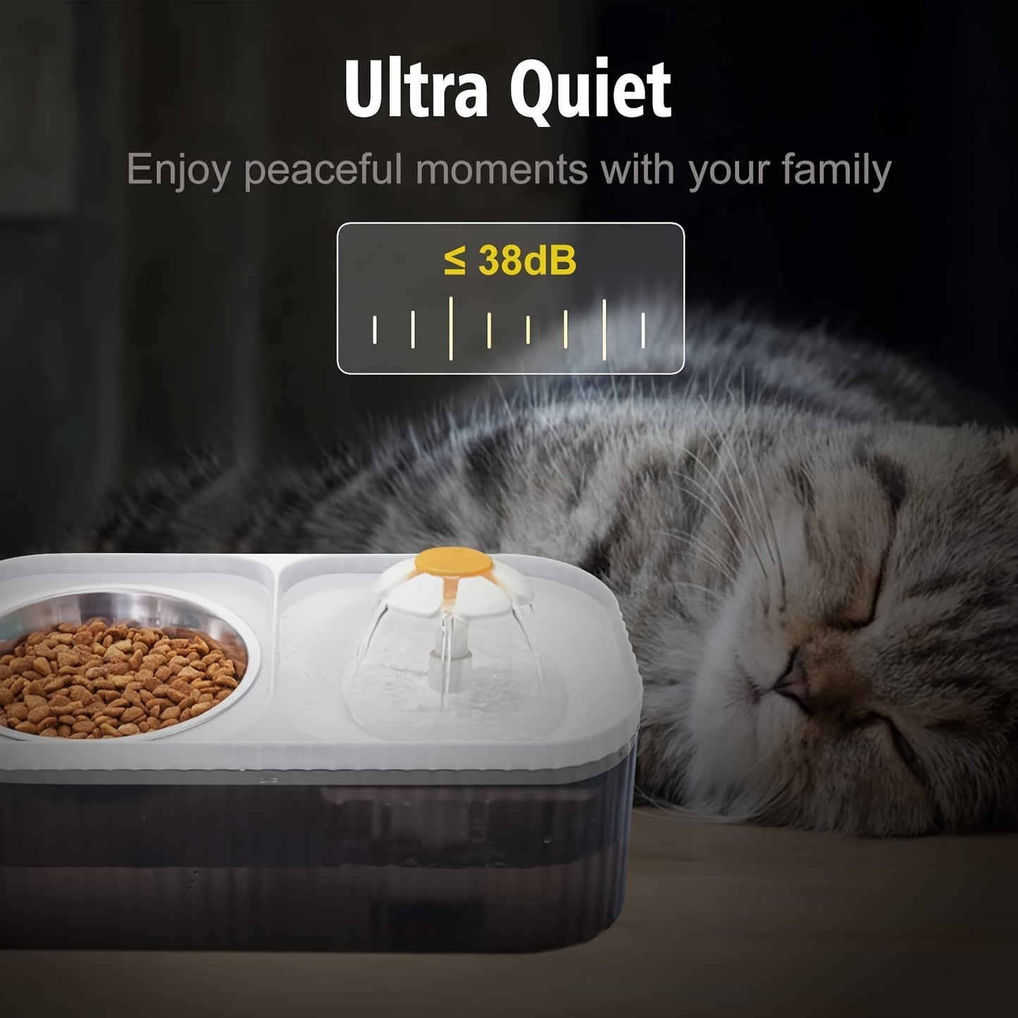 Automatic Pet Feeder And Water Dispenser For Cats And Small Dogs Stainless Steel Design