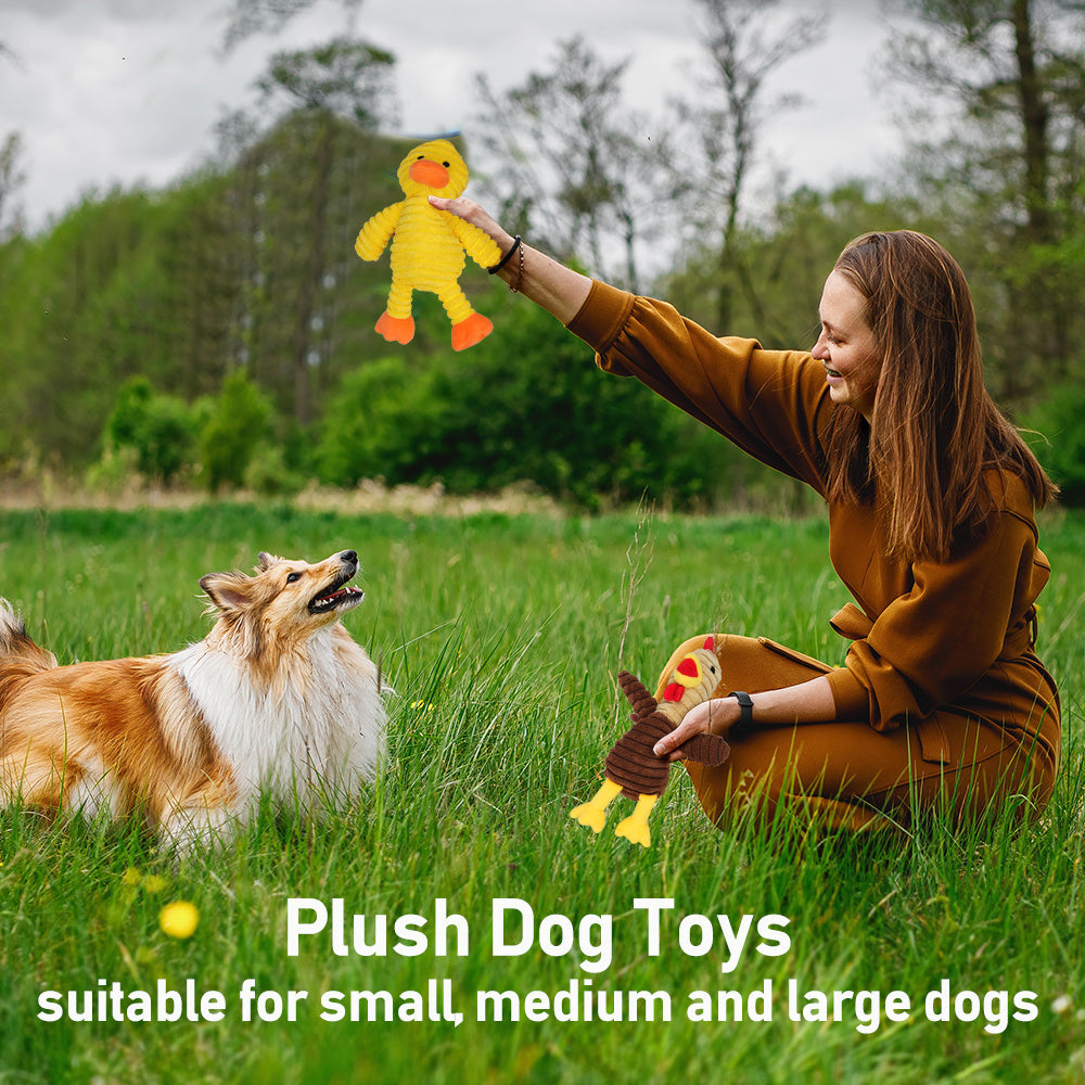 Plush Dog Squeaky Toys 5 Pack Assorted Animal Chew Toys for Small Medium Large Dogs