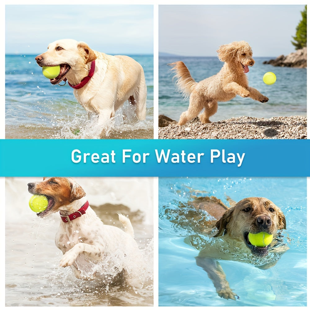 Squeaky Tennis Balls For Dogs 2.5 Inch 12 Pack Interactive Fetch Toy For Medium And Large Dogs