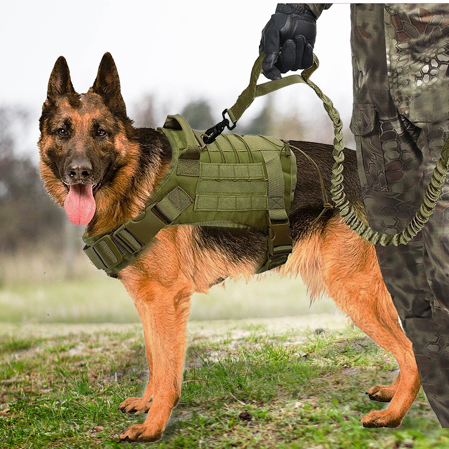 Service Dog Vest Harness Reflective Leash Set with Squeaky Toy for All Dog Sizes