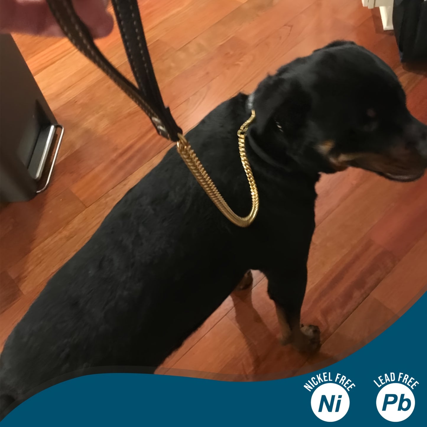 Golden Paws Stainless Steel Dog Leash – Durable and Stylish for All Dog Sizes