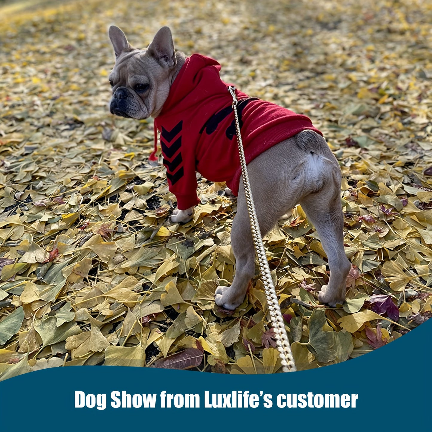 Golden Paws Stainless Steel Dog Leash – Durable and Stylish for All Dog Sizes