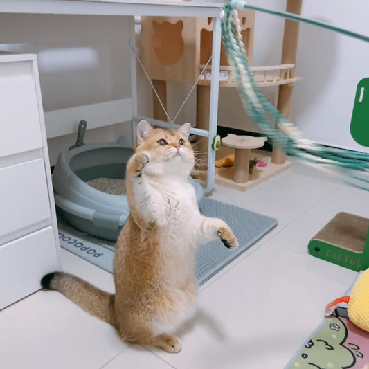 4 Pack Interactive Cat Wand Toys with Plush Teasers Bells and Ribbons for Indoor Play