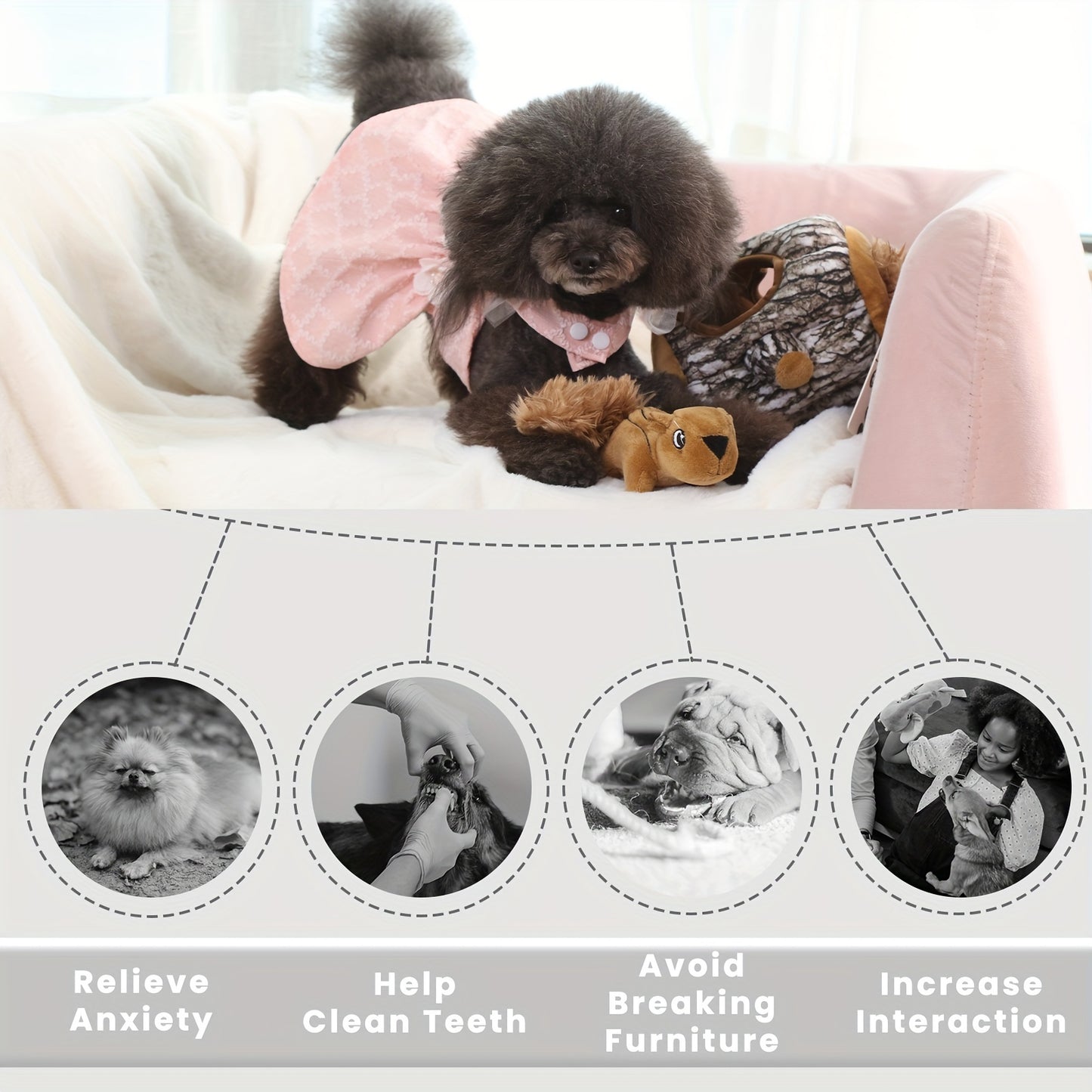 Laifug Hide and Seek Squirrel Plush Dog Toy Interactive Fun for All Breeds