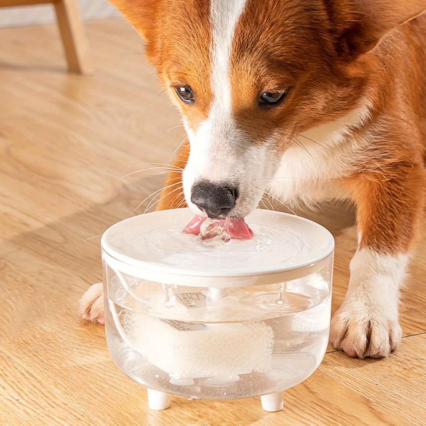 USB Powered Indoor Bird Bath and Cat Water Feeder with Circulating Filter Fountain