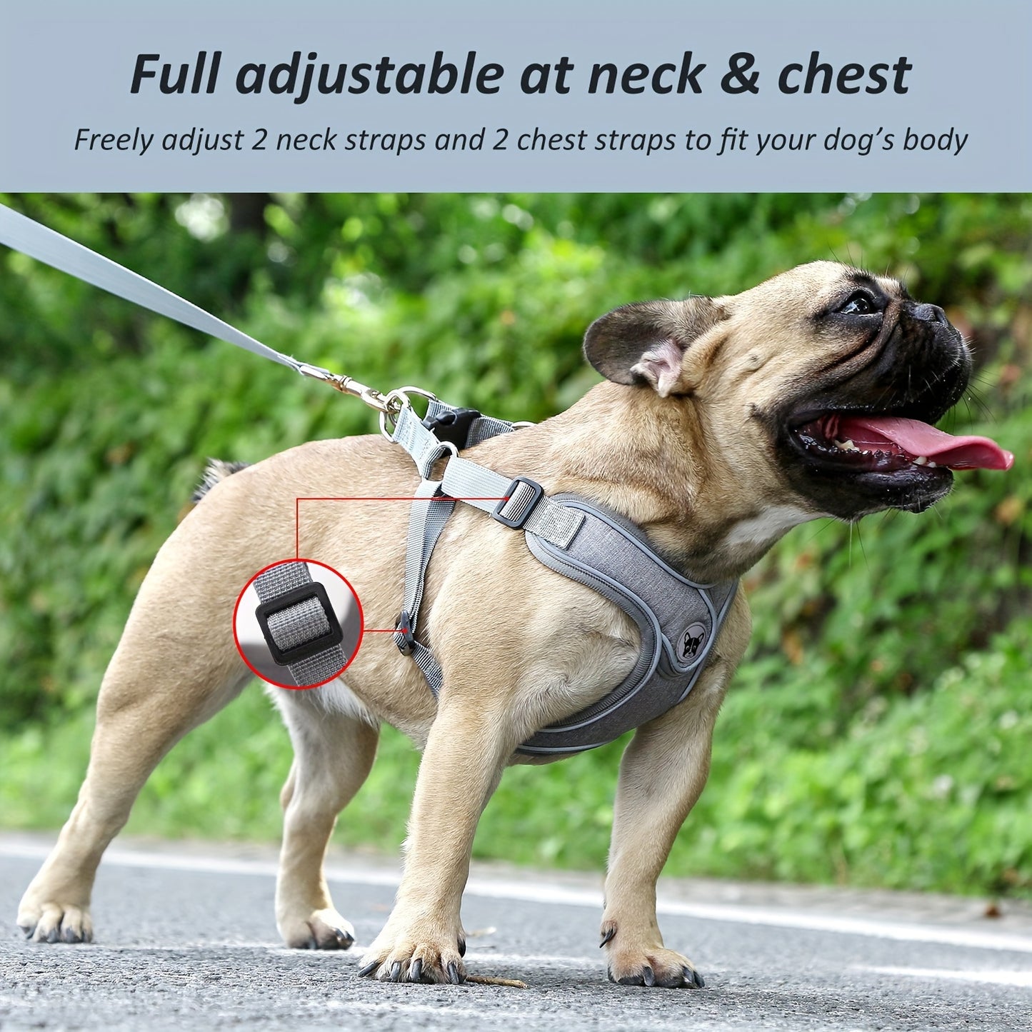 Adjustable chest strap and leash set with reflective strip for small and medium sized dogs