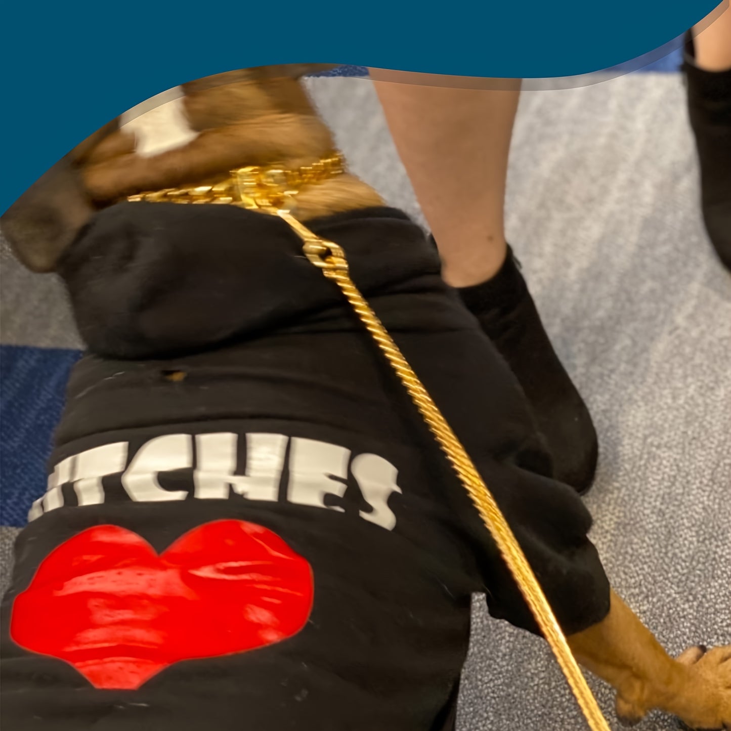 LuxLife 10mm Stainless Steel Dog Leash – Chew-Proof and Waterproof with Leather Handle