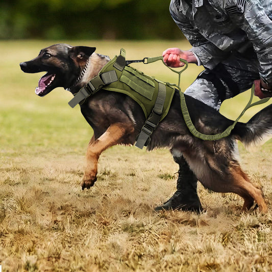 Service Dog Vest Harness Reflective Leash Set with Squeaky Toy for All Dog Sizes