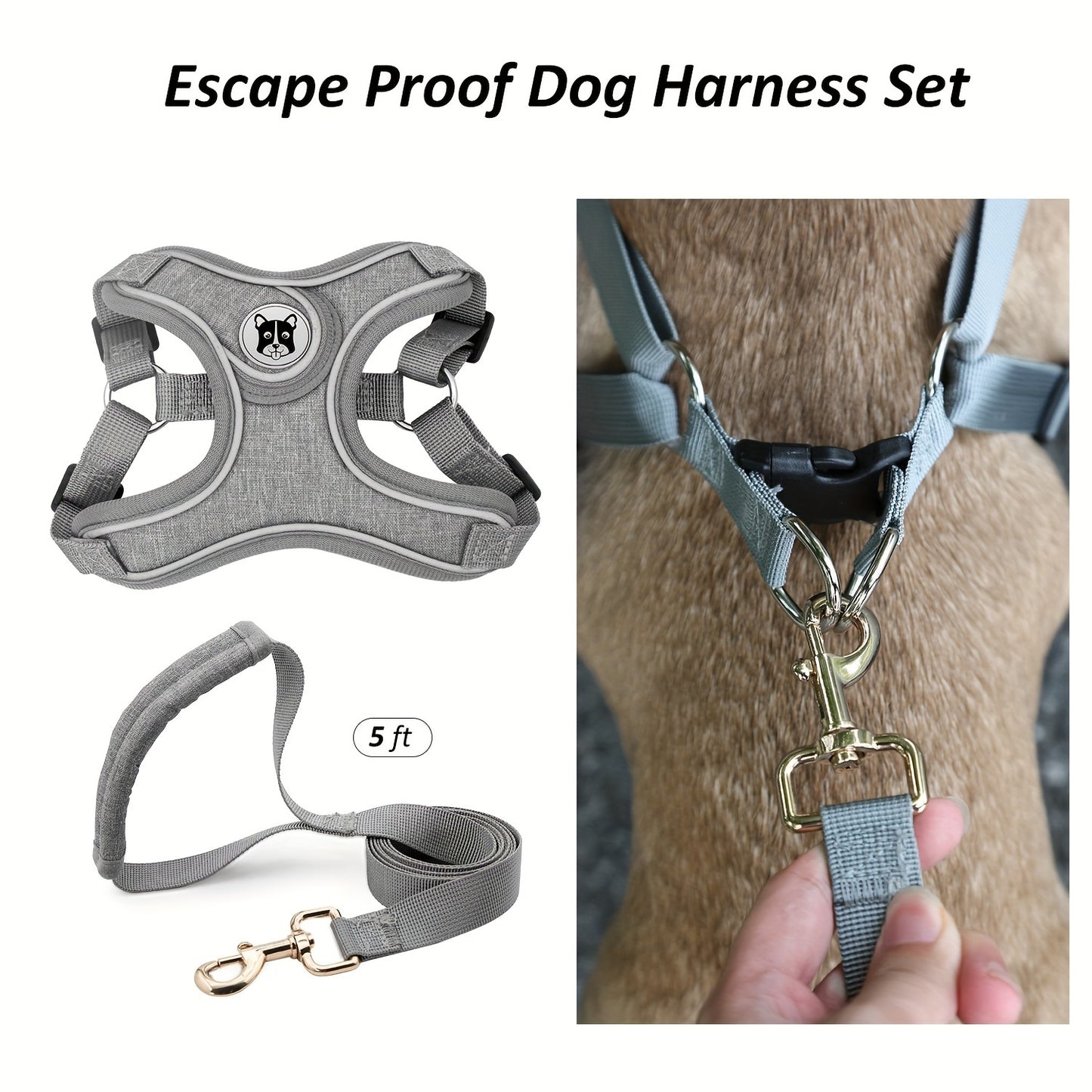 Adjustable chest strap and leash set with reflective strip for small and medium sized dogs