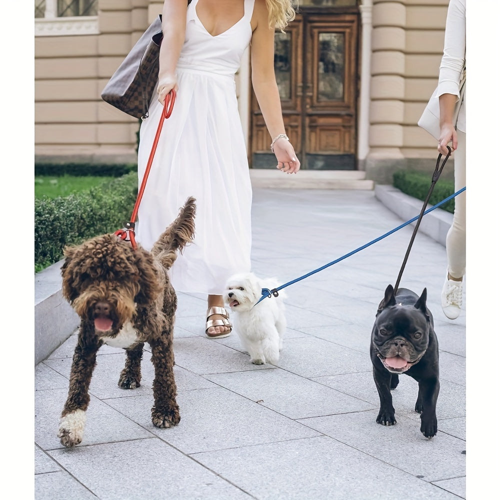 Durable 5pcs Nylon Rope Slip Lead - Dog Leash for All Sizes - Strong Training Lead