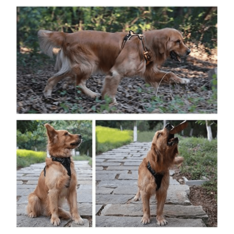 Soft Front Dog Harness Best Reflective No Pull Design with Convenient Handle