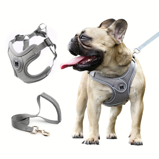 Adjustable chest strap and leash set with reflective strip for small and medium sized dogs