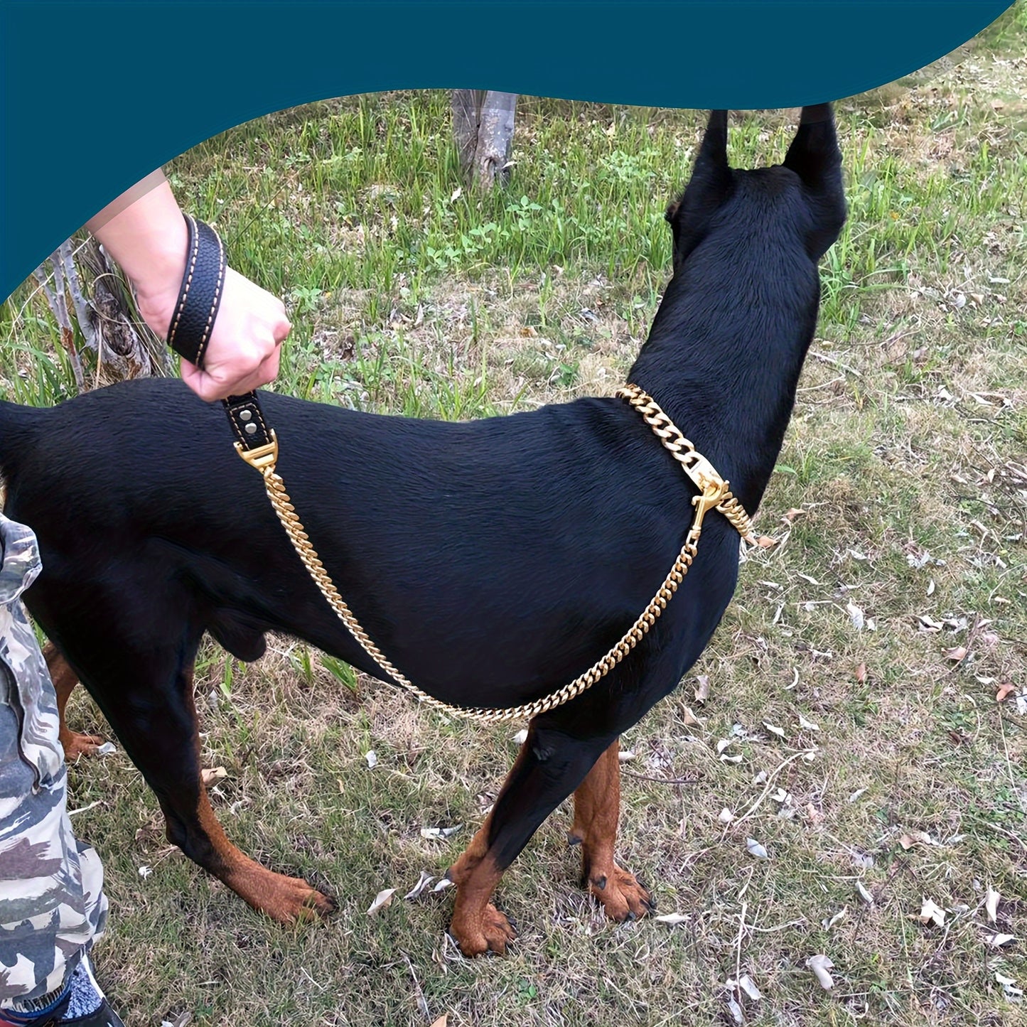 LuxLife 10mm Stainless Steel Dog Leash – Chew-Proof and Waterproof with Leather Handle