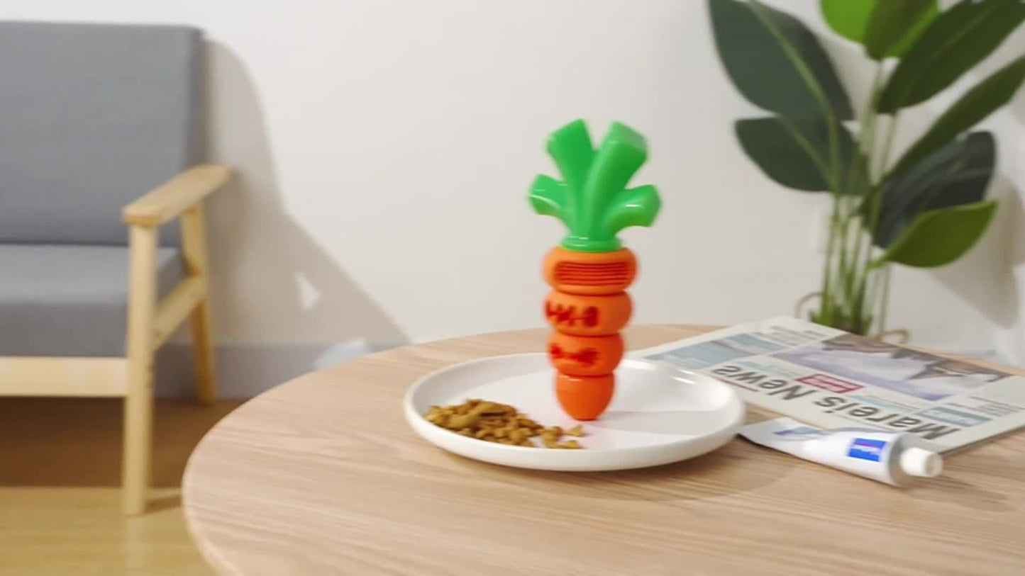 Beef Flavor Indestructible Dog Bone Toy Set for Large Medium Breeds Durable Nylon Chew Toy