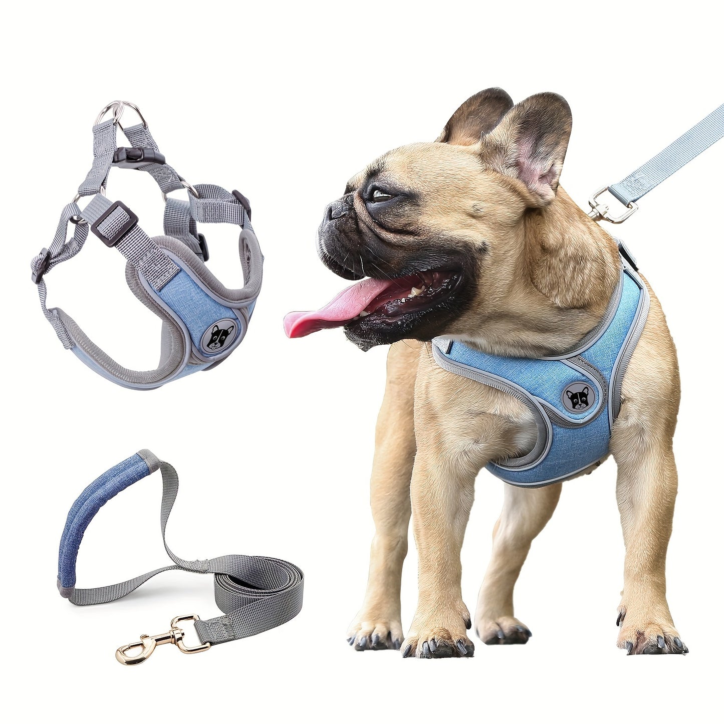Adjustable chest strap and leash set with reflective strip for small and medium sized dogs