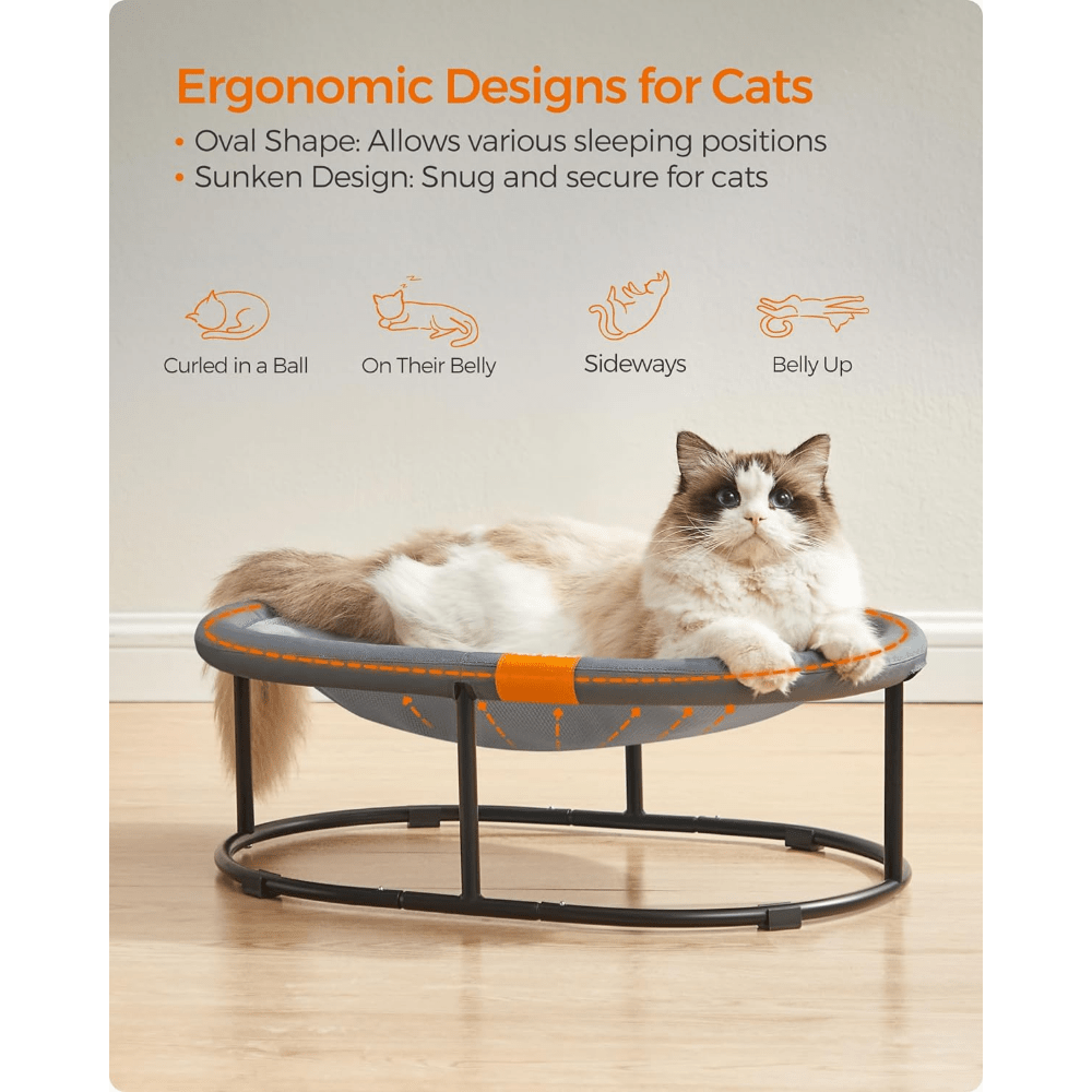 Elevated Pet Bed for Large Cats and Small Dogs with Removable Washable Mesh Oval Design