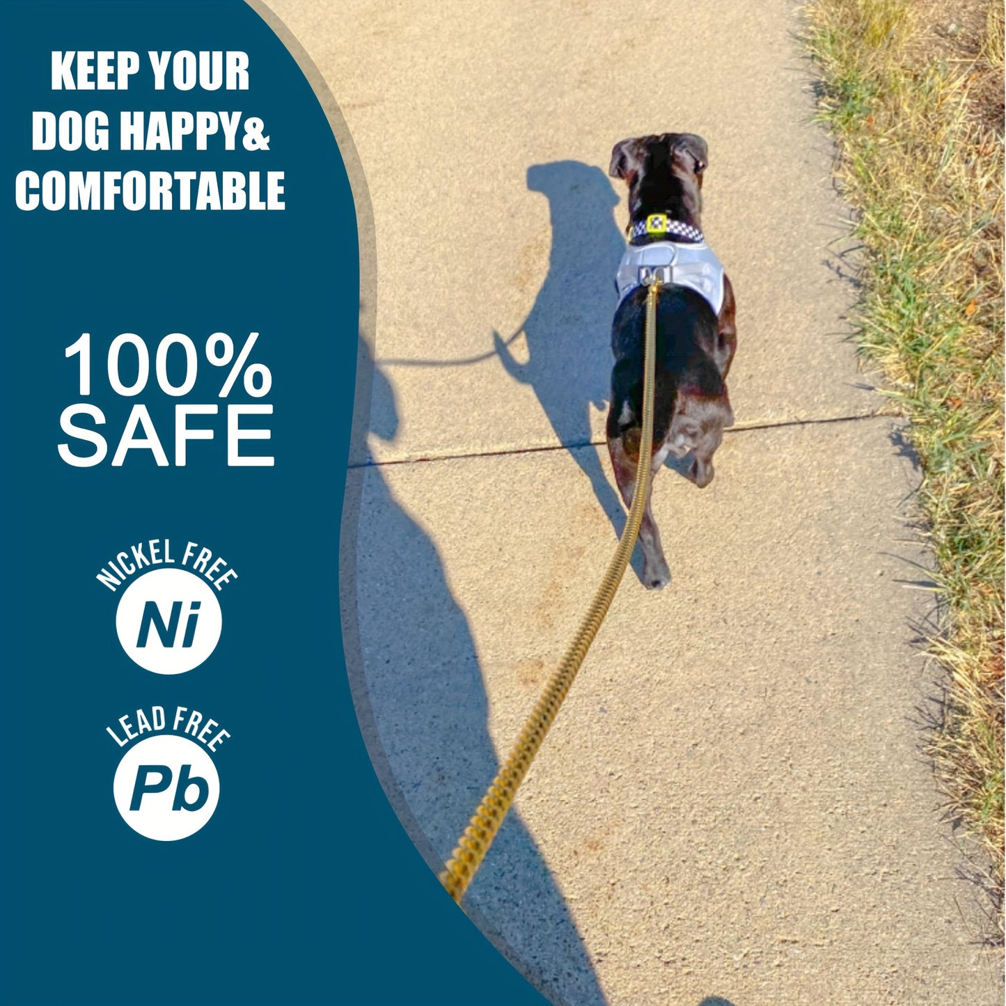 Golden Paws Stainless Steel Dog Leash – Durable and Stylish for All Dog Sizes