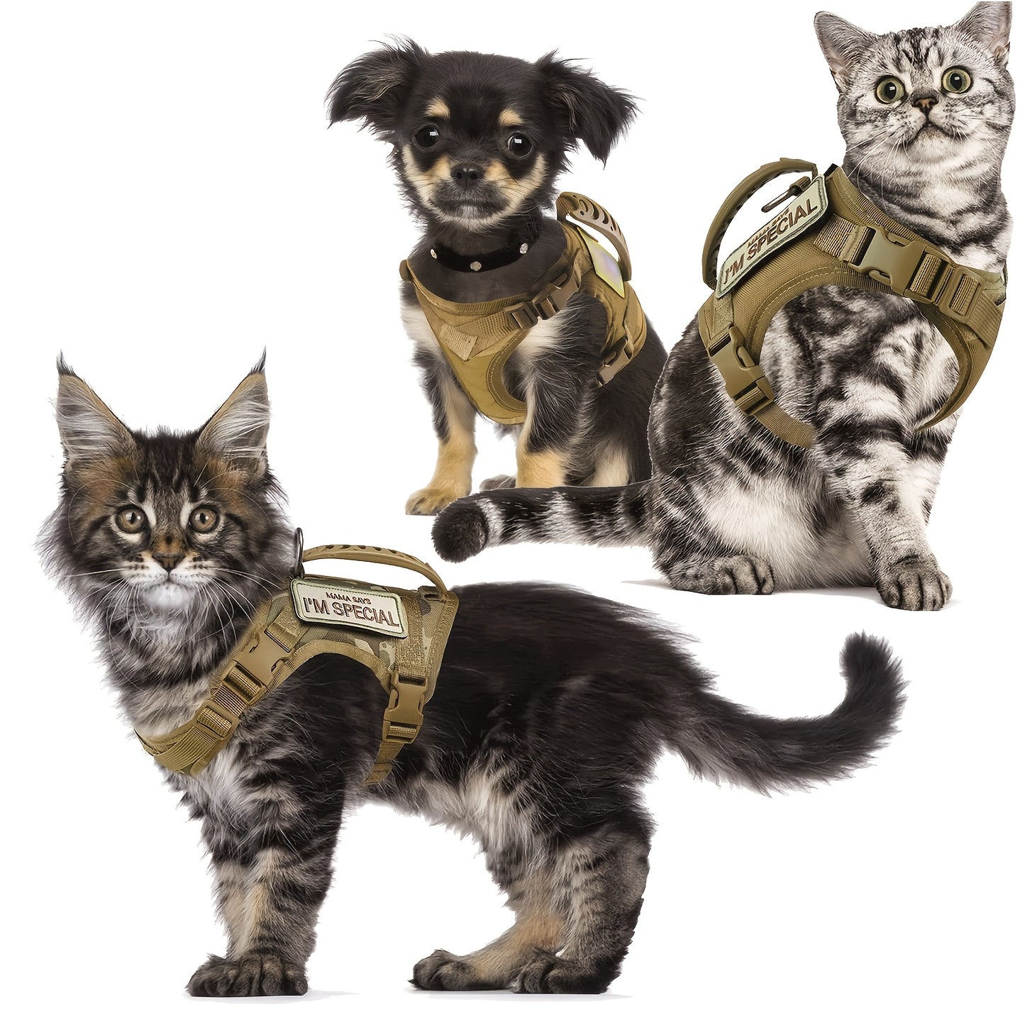 Adjustable Cat Outdoor Tactical Harness Air Mesh Escape Proof Reflective Vest for Fat Cats