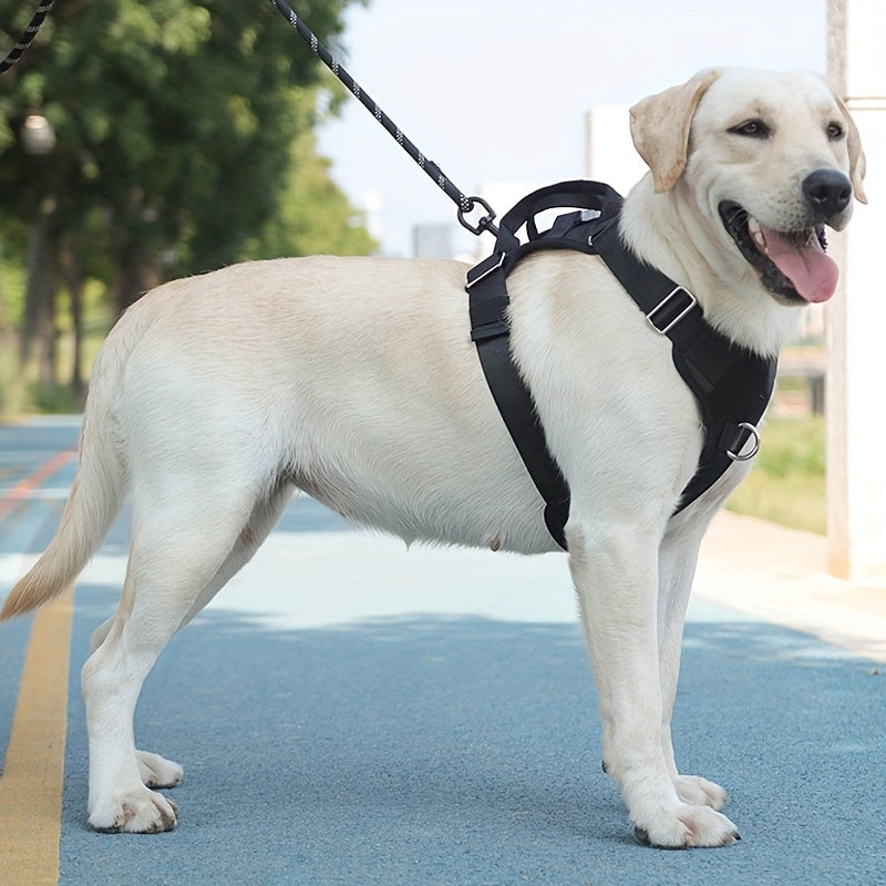 Outdoor Tactical Dog Harness Vest and Leash for Medium Large Dogs Nylon Training Gear