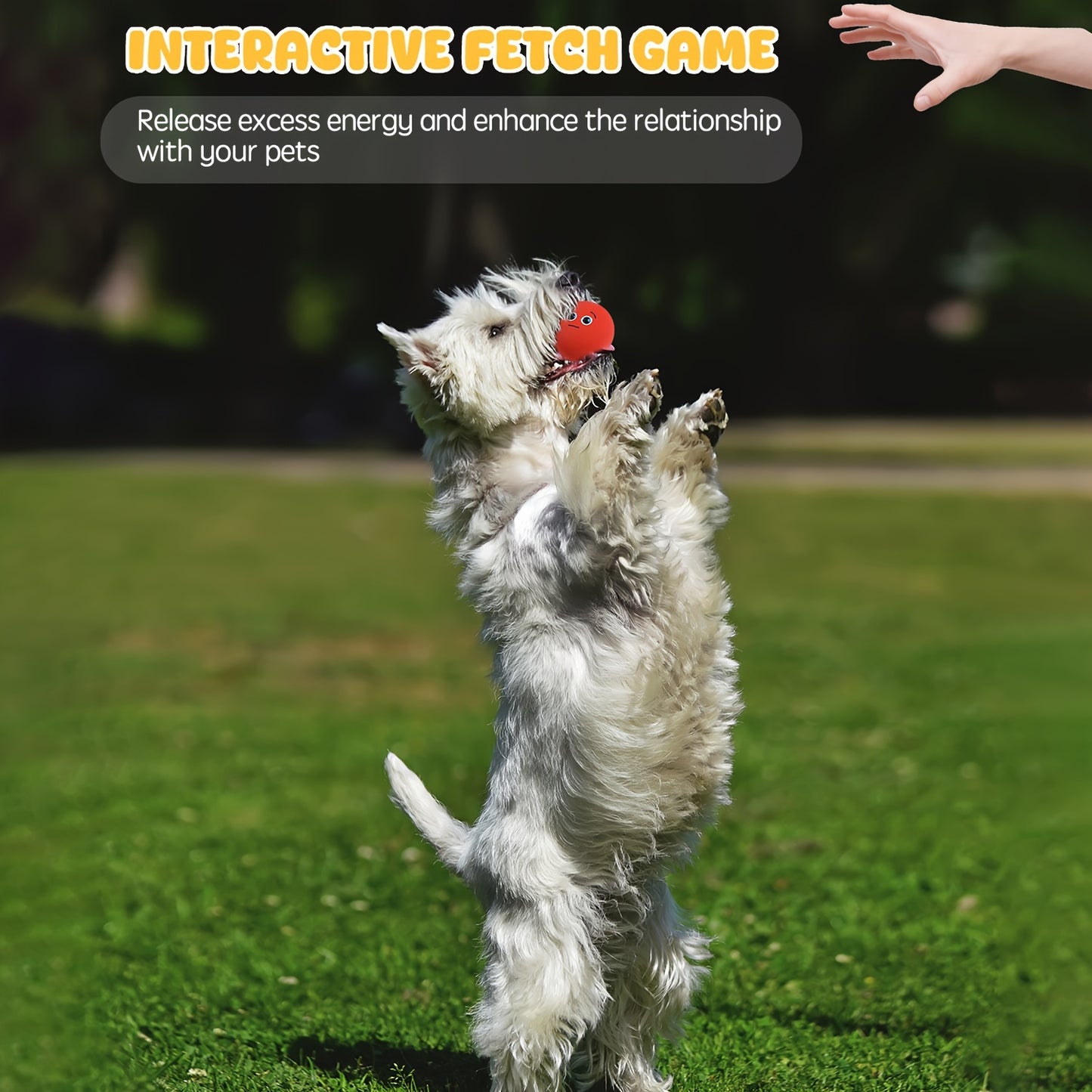 SCHITEC Interactive Squeaky Dog Toys 6 Pack Vibrant Latex Rubber Balls for Small Dogs