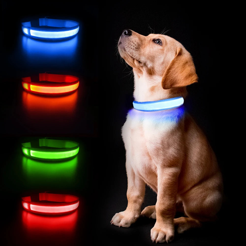 MASBRILL Luminous Waterproof Dog Collar for Small to Large Breeds with Reflective Lights