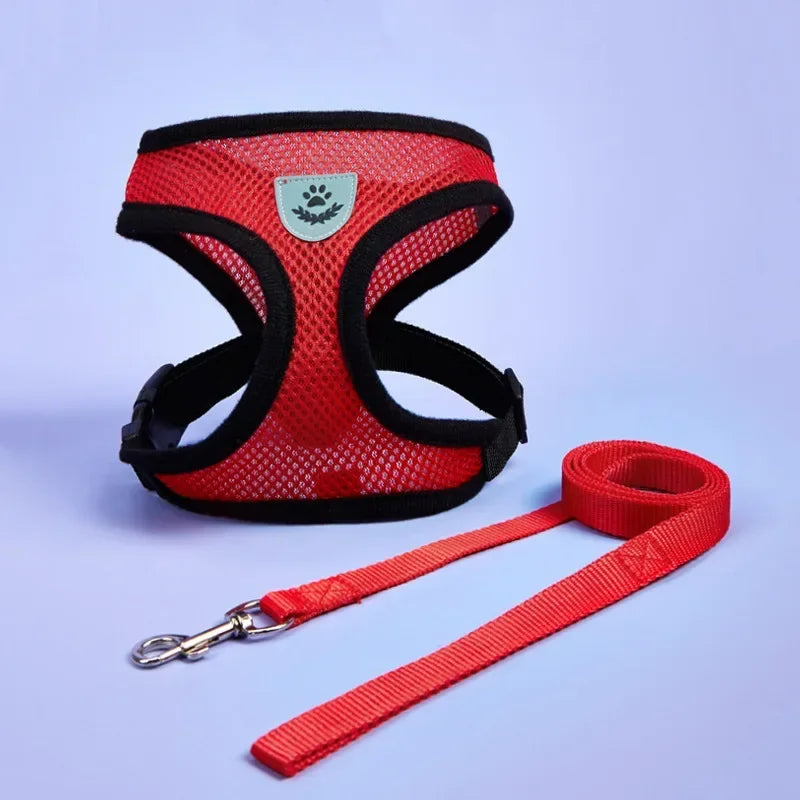Cat Dog Adjustable Harness Vest Walking Lead Leash For Puppy - Loving Babies & Pets Shop