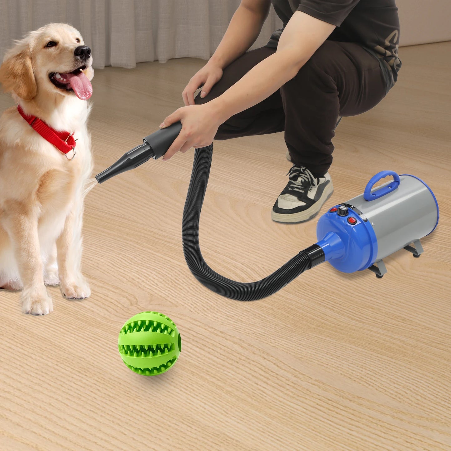 2200W Pet Hair Dryer Adjustable Wind Speed 4 Nozzles