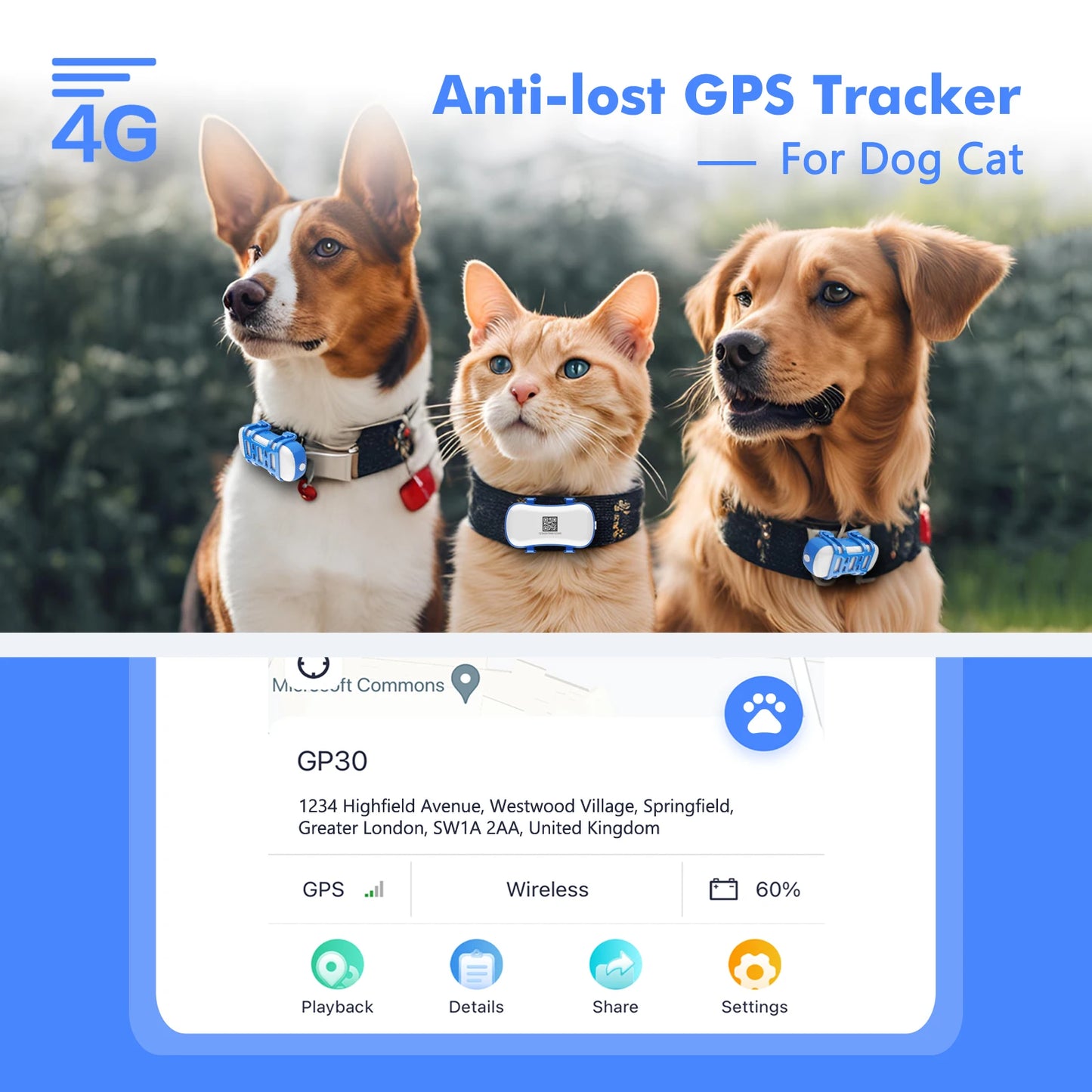 ‌4G Dog Cat GPS Tracker for Pets - Waterproof Smart Locator with App, Live Tracking & Light/Sound Search, Free Trial Included