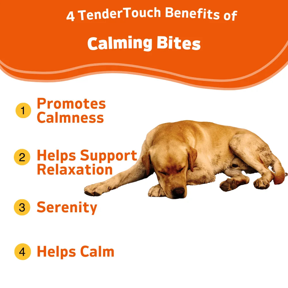 TenderTouch Calming Chews for Dogs 240 Chews 2 Pack Natural Stress Relief 360g